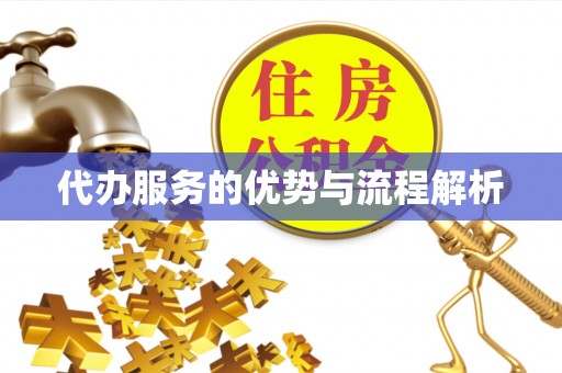 靖江代办服务的优势与流程解析