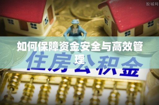 靖江如何保障资金安全与高效管理