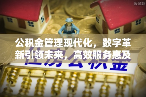 靖江公积金管理现代化，数字革新引领未来，高效服务惠及民生