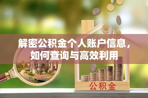 靖江解密公积金个人账户信息，如何查询与高效利用