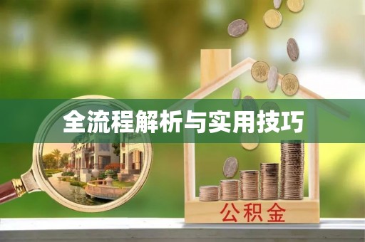 靖江全流程解析与实用技巧