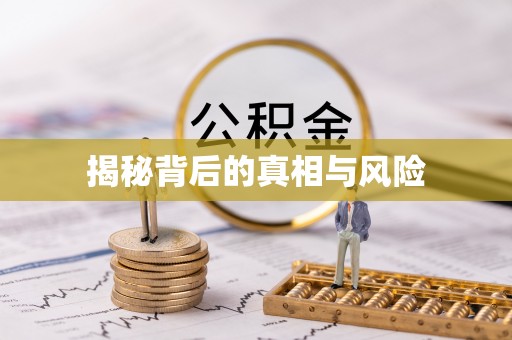 靖江揭秘背后的真相与风险
