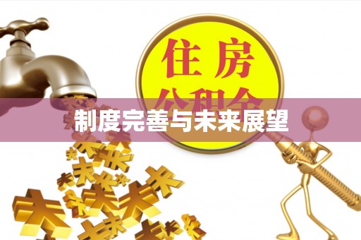 靖江制度完善与未来展望