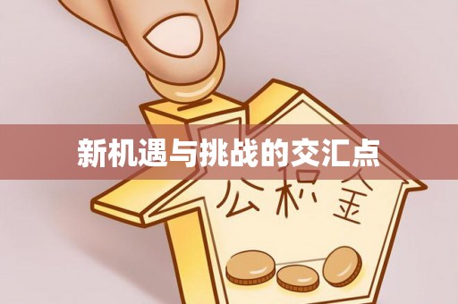 靖江新机遇与挑战的交汇点