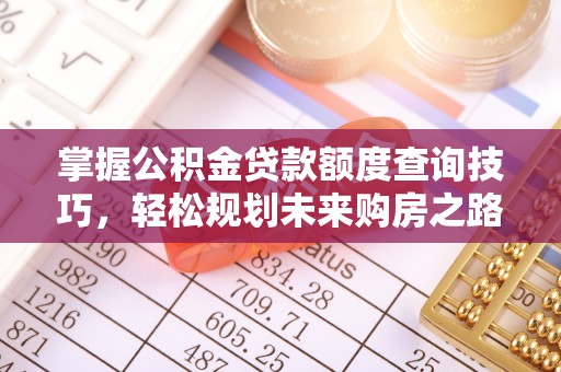 靖江掌握公积金贷款额度查询技巧，轻松规划未来购房之路