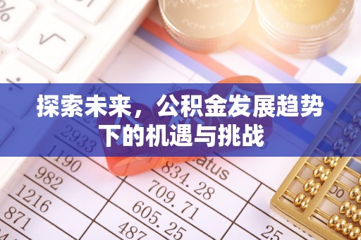 靖江探索未来，公积金发展趋势下的机遇与挑战