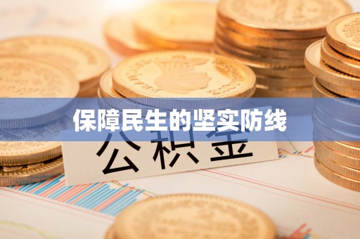 靖江保障民生的坚实防线