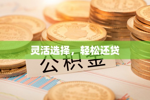 靖江灵活选择，轻松还贷