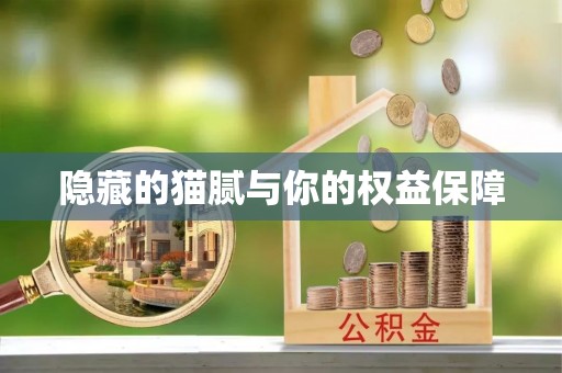 靖江隐藏的猫腻与你的权益保障