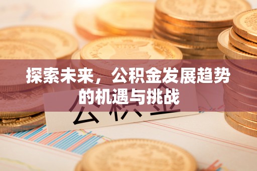 靖江探索未来，公积金发展趋势的机遇与挑战