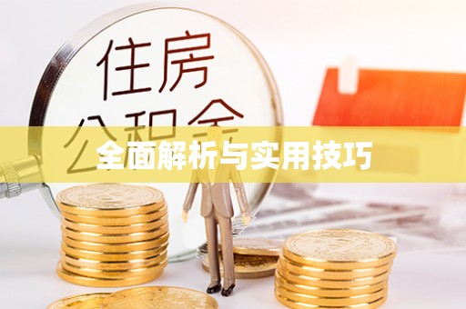 靖江全面解析与实用技巧