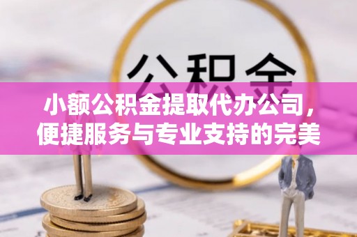 靖江小额公积金提取代办公司，便捷服务与专业支持的完美结合