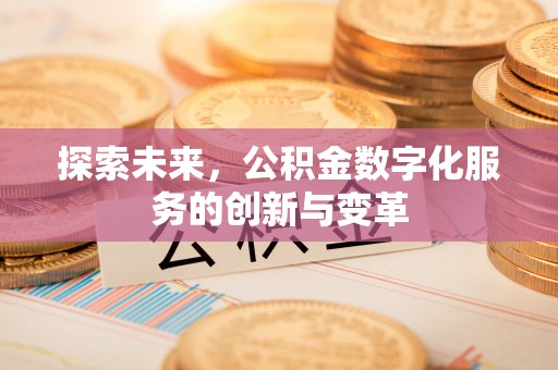 靖江探索未来，公积金数字化服务的创新与变革