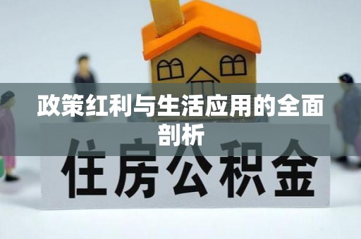 靖江政策红利与生活应用的全面剖析