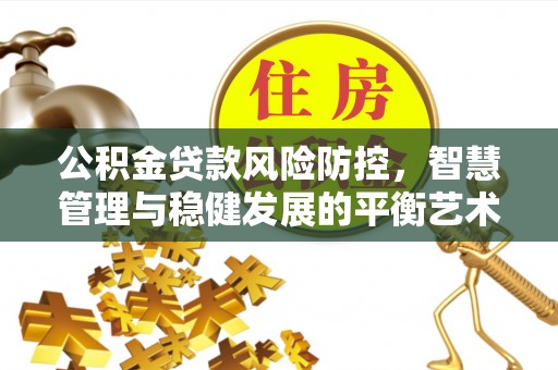 靖江公积金贷款风险防控，智慧管理与稳健发展的平衡艺术