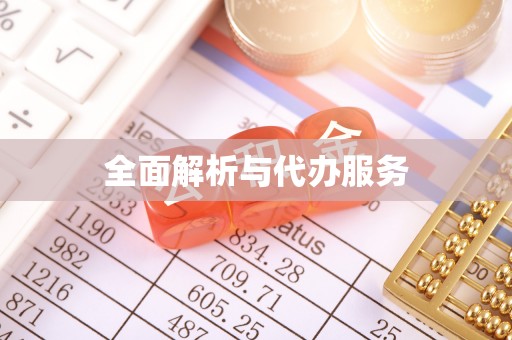 靖江全面解析与代办服务