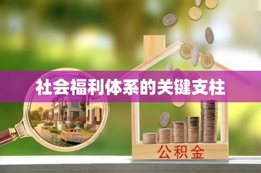 靖江社会福利体系的关键支柱