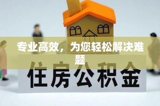 靖江专业高效，为您轻松解决难题