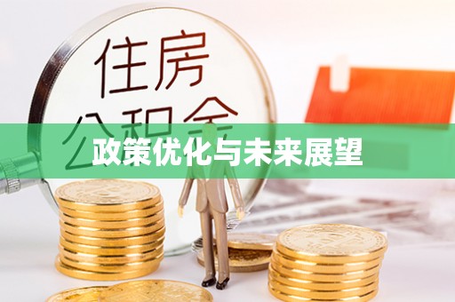 靖江政策优化与未来展望