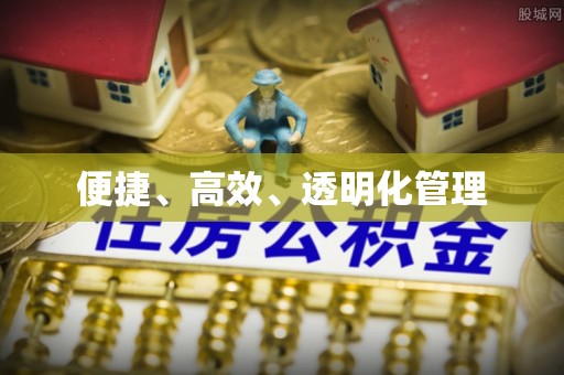 靖江便捷、高效、透明化管理