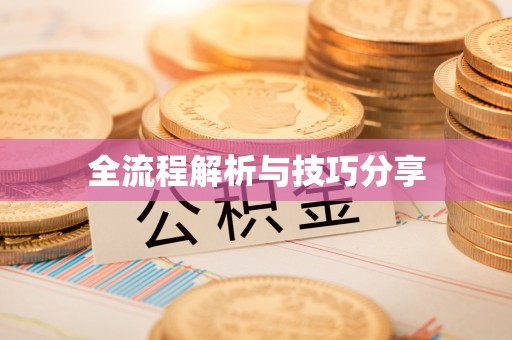 靖江全流程解析与技巧分享