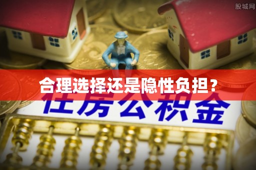靖江合理选择还是隐性负担？