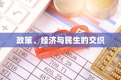 靖江政策、经济与民生的交织
