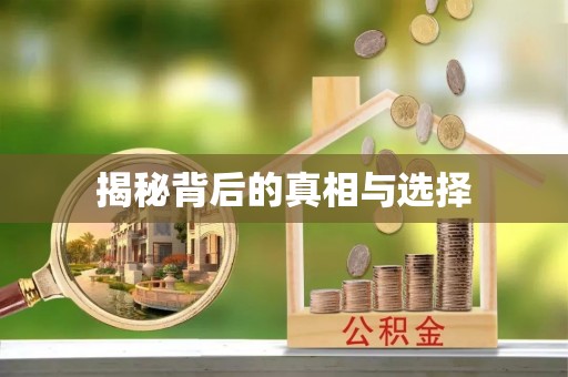 靖江揭秘背后的真相与选择