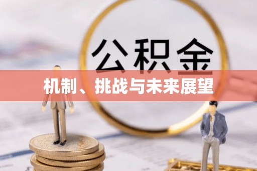 靖江机制、挑战与未来展望