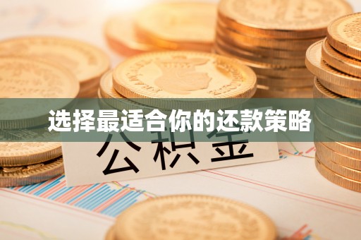 靖江选择最适合你的还款策略
