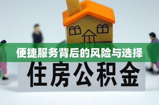靖江便捷服务背后的风险与选择
