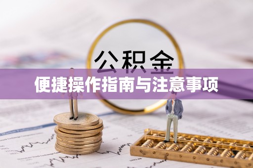 靖江便捷操作指南与注意事项